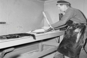 Bilde av Helle Fjærfe- og Pelsdyrgård